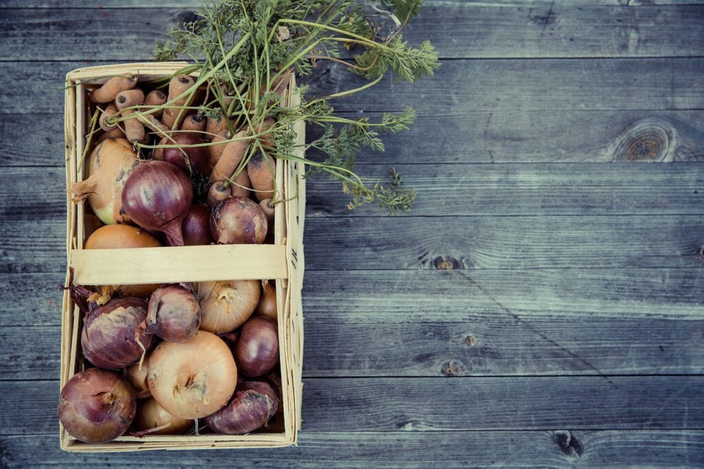 vegetables, harvest, cultivation