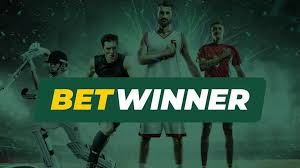 Discover BetWinner Your Go-To Online Bookmaker Discover BetWinner Your Go-To Online Bookmaker