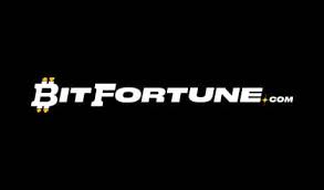 Anonymous Play at Bitfortune Casino Explore the Future of Online Gaming