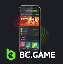 BC Game Online Crypto Casino A New Era of Gambling 2132981081