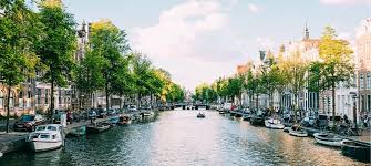 Duurzame Melkveehouderij in Nederland Een Toekomstgerichte Benadering 353768082