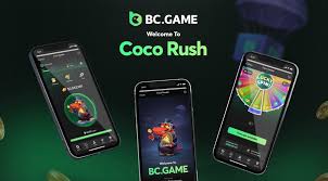 Exploring the Dynamic Features of the BC.Game Platform Exploring the Dynamic Features of the BC.Game Platform