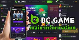 Experience Thrilling Gaming at BC.Game Crypto Casino