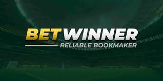 The Comprehensive Guide to the BetWinner Platform