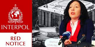 Understanding the Role of the Interpol Lawyers Team 1329748504